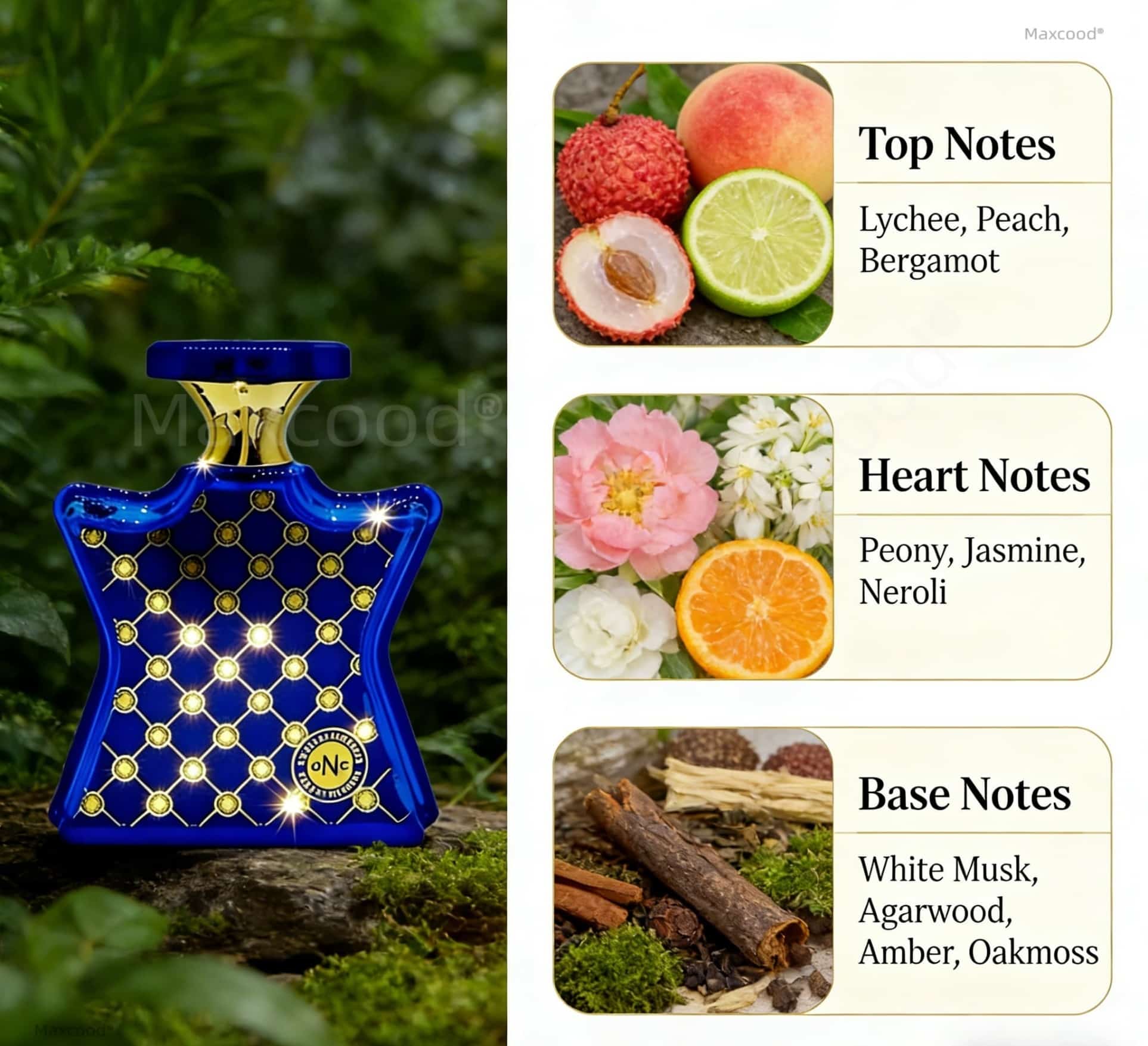 น้ำหอมกลิ่นส้มและดอกไม้ กลิ่นห - Perfume Fragrance For Girls บทวิจารณ์และราคา
